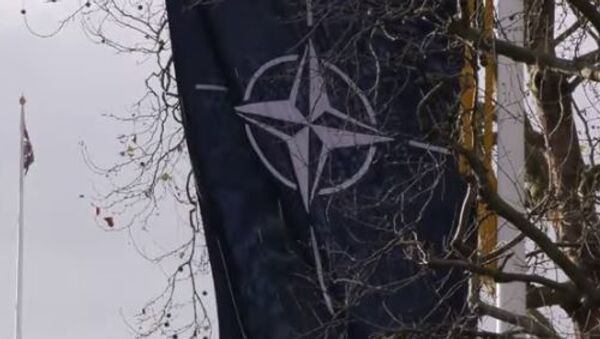 Развал НАТО: сможет ли альянс сохранить единство - Sputnik Абхазия