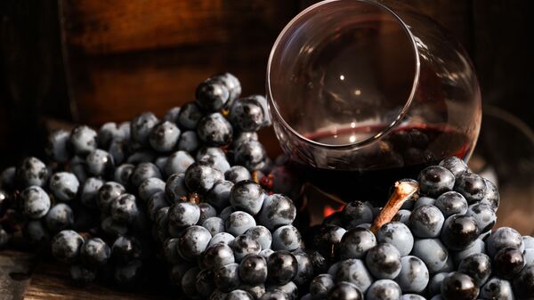 Виноградная лоза и вино в бокале на винодельческом предприятии Массандра в Крыму. - Sputnik Абхазия