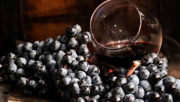 Виноградная лоза и вино в бокале на винодельческом предприятии Массандра в Крыму. - Sputnik Абхазия