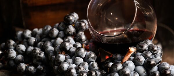 Виноградная лоза и вино в бокале на винодельческом предприятии Массандра в Крыму. Виноградная лоза и вино в бокале на винодельческом предприятии Массандра в Крыму. - Sputnik Абхазия