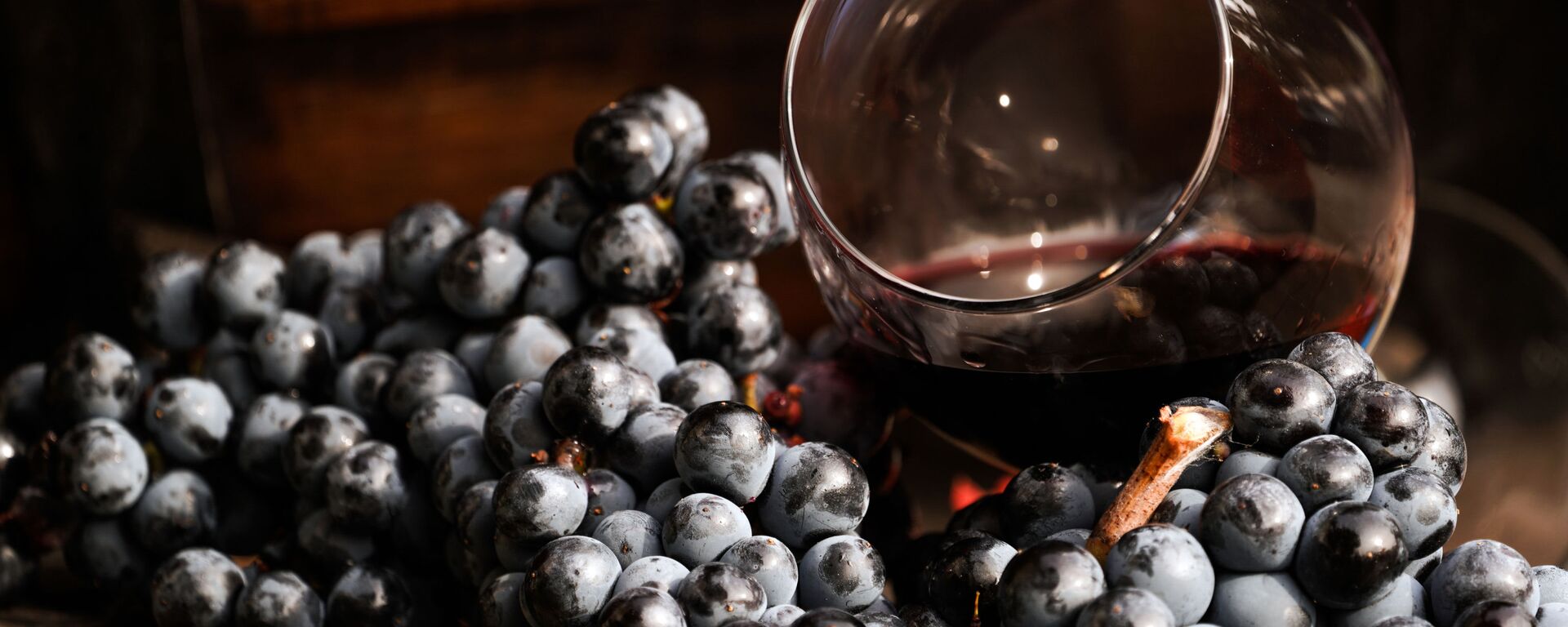 Виноградная лоза и вино в бокале на винодельческом предприятии Массандра в Крыму. - Sputnik Абхазия, 1920, 03.04.2026