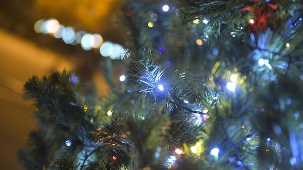 Площадь свободы елка  - Sputnik Абхазия