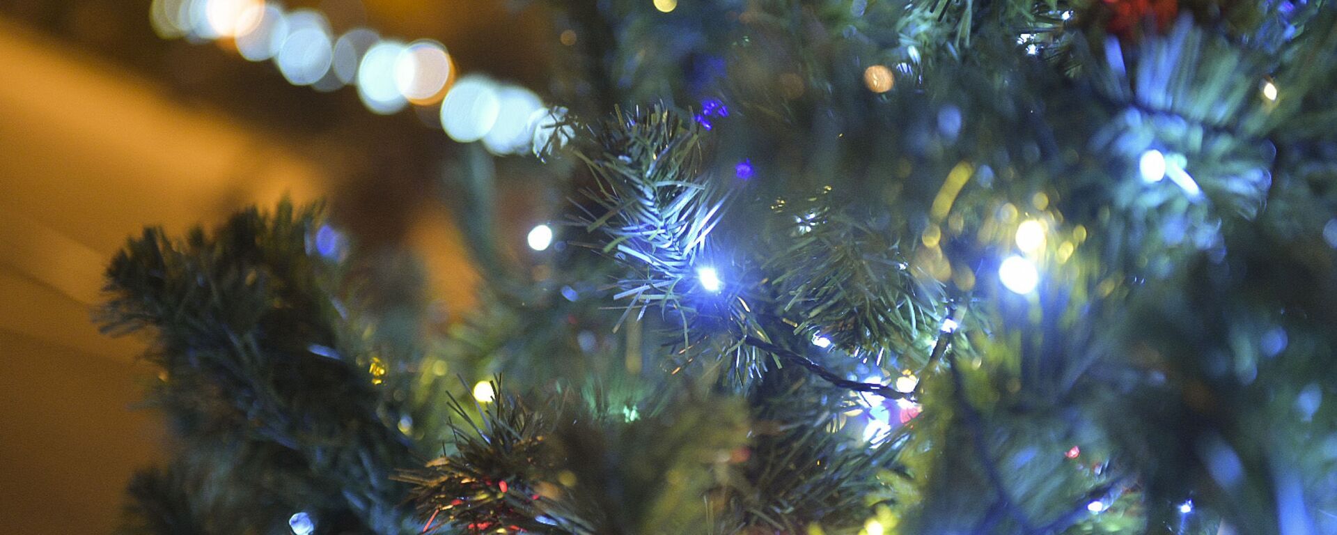 Площадь свободы елка  - Sputnik Абхазия, 1920, 12.12.2025