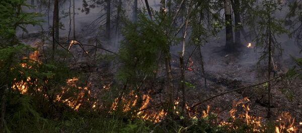 Ликвидация пожаров в Красноярском крае Ликвидация пожаров в Красноярском крае - Sputnik Абхазия