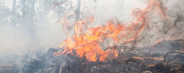 Лесные пожары  Лесные пожары  - Sputnik Аҧсны