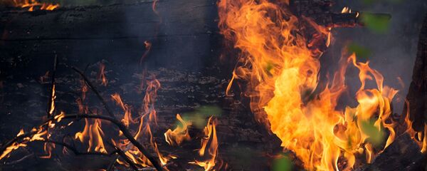 Лесные пожары  Лесные пожары  - Sputnik Абхазия