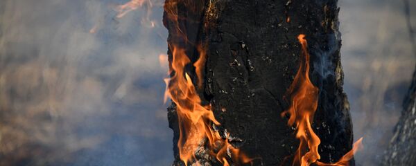 Пожары в Забайкальском крае Пожары в Забайкальском крае - Sputnik Абхазия