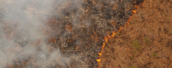 Природные пожары в Амурской области Природные пожары в Амурской области - Sputnik Аҧсны