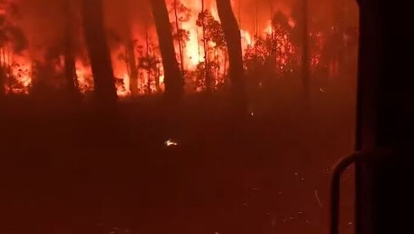 Австралийские пожарные пробиваются пробиться на машине сквозь горящий лес   - Sputnik Абхазия