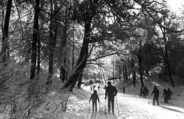 Лыжная прогулка в Измайловском парке - Sputnik Абхазия