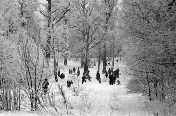 Жители московского микрорайона Ясенево на прогулке в зимнем парке - Sputnik Абхазия