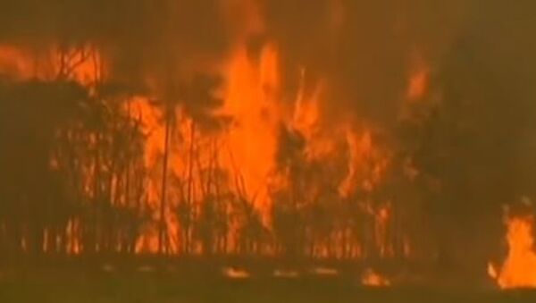 Пожары в Австралии становятся природной катастрофой - Sputnik Абхазия