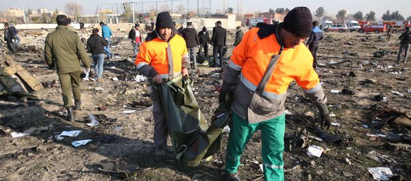 Спасатели на месте крушения самолета в Иране - Sputnik Абхазия