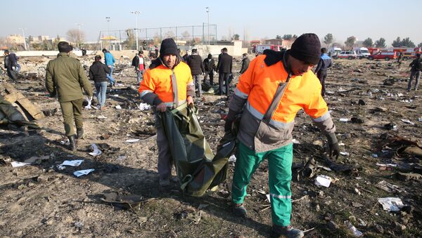 Спасатели на месте крушения самолета в Иране - Sputnik Абхазия