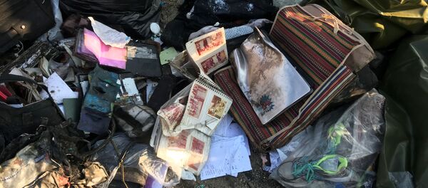 Личные вещи пассажиров на месте крушения самолета в Иране - Sputnik Абхазия