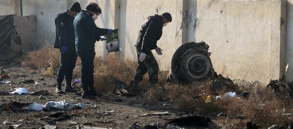 Иран аҿы ақәшаҳаҭхеит украинатәи аҳаирплан машәырла ишҭанархаз - Sputnik Аҧсны