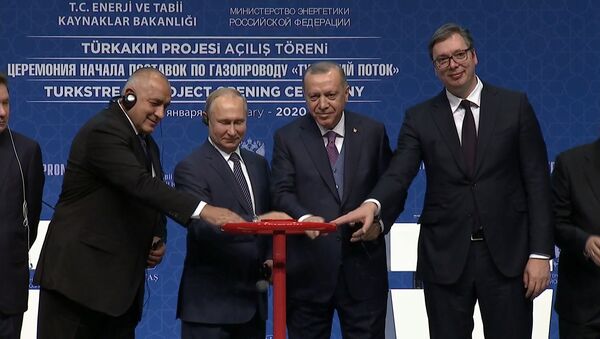  Путин и Эрдоган запустили работу газопровода Турецкий поток - Sputnik Абхазия