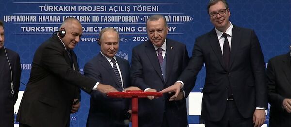 Путин и Эрдоган запустили работу газопровода Турецкий поток  Путин и Эрдоган запустили работу газопровода Турецкий поток - Sputnik Абхазия