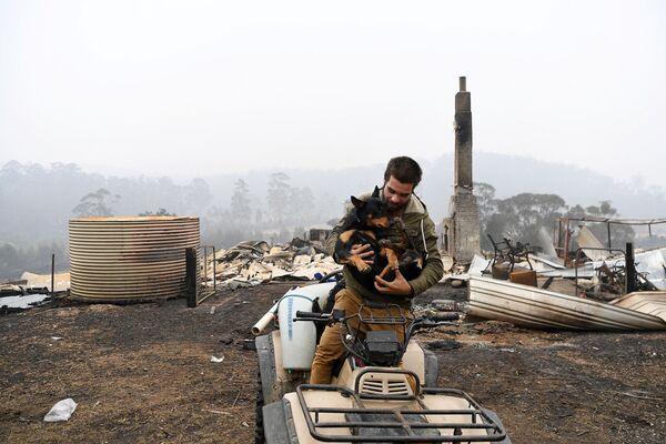 Мужчина с собакой на фоне сгоревшего дома в Австралии - Sputnik Абхазия