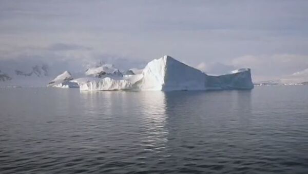 Таяние ледников угрожает обитателям Антарктиды - Sputnik Абхазия