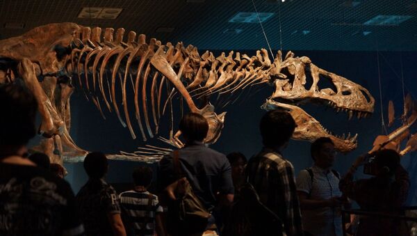 Скелет динозавра - Sputnik Абхазия