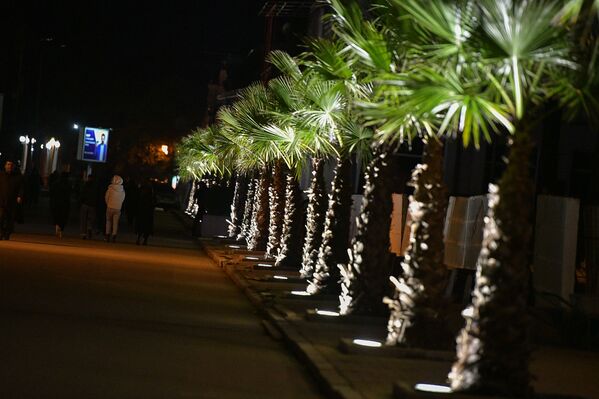 За несколько месяцев его руководства были проведены работы по облагораживанию набережной Махаджиров, высажены новые пальмы, которые подсвечиваются ночью. - Sputnik Абхазия