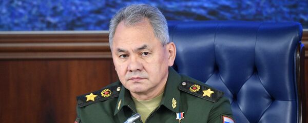 Министр обороны РФ, генерал армии Сергей Шойгу - Sputnik Абхазия