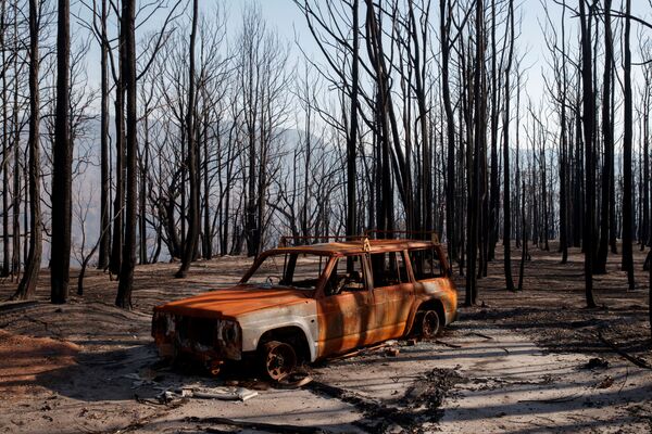Сгоревшая машина в Долине Кенгуру в Австралии после лесных пожаров - Sputnik Абхазия