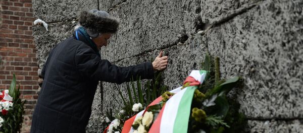 70-летие освобождения концентрационного лагеря Аушвиц-Биркенау 70-летие освобождения концентрационного лагеря Аушвиц-Биркенау - Sputnik Абхазия