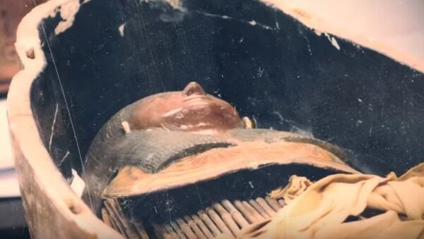 Британские учёные воссоздали голос египетского жреца, жившего 3 тысячи лет назад - Sputnik Абхазия
