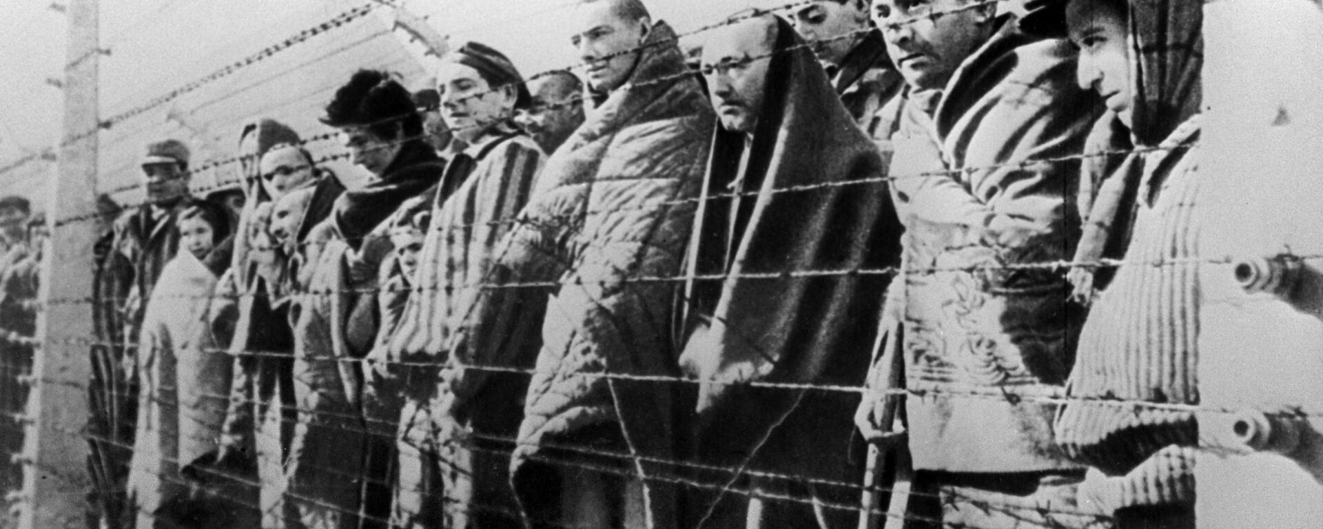 Узники концентрационного лагеря Освенцим - Sputnik Абхазия, 1920, 23.06.2022