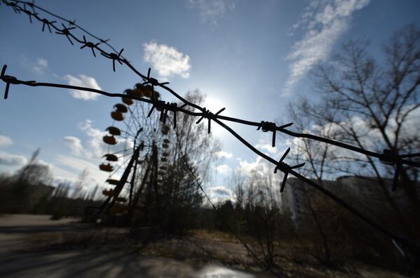 В эвакуированном после аварии на ЧАЭС городе Припять в Чернобыльской Зоне Отчуждения - Sputnik Абхазия