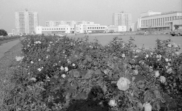 Микрорайон города Припять в Киевской области, 1985 год - Sputnik Абхазия