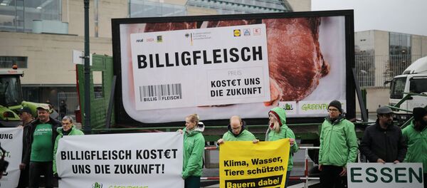 Активист протестует перед встречей правительства с представителями Активист протестует перед встречей правительства с представителями - Sputnik Абхазия