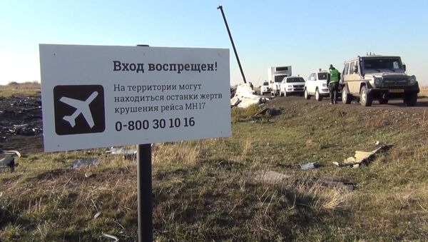 В Сети появились новые документы по делу о крушении MH17 - Sputnik Абхазия