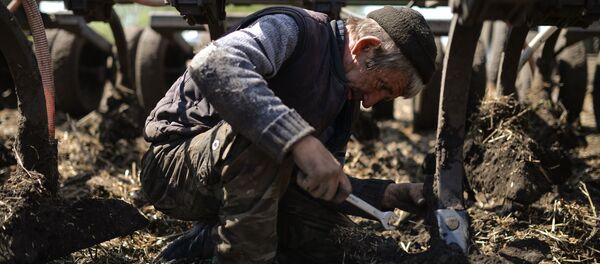 Подготовка к полевым работам - Sputnik Абхазия