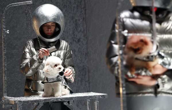 Модели и собаки представляют коллекцию Moncler на неделе моды в Милане - Sputnik Абхазия