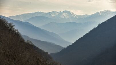 Кодорское ущелье кодор ажара горы абхазия фото
