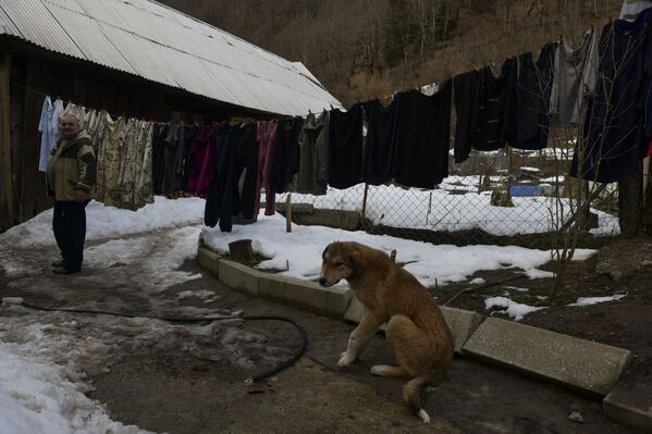 Годердзи Гочиани во дворе своего дома. Мужчина работает в селе на малой ГЭС, занимается скотоводством и пчеловодством - Sputnik Абхазия