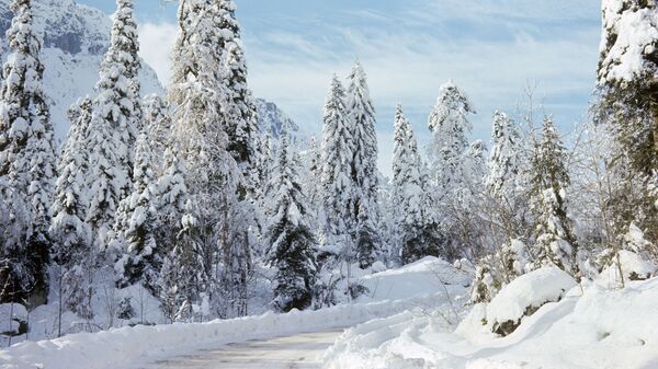 Дорога на озеро Рица зимой - Sputnik Абхазия