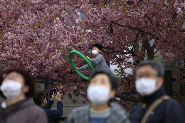 Люди в масках на фестивале цветения вишни в Японии  - Sputnik Абхазия