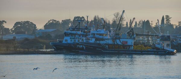 Турецкие сейнера Турецкие сейнера - Sputnik Абхазия