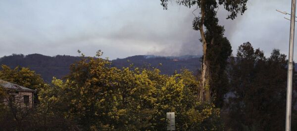 Пожар в лесу Верхняя Эшера Пожар в лесу Верхняя Эшера - Sputnik Абхазия