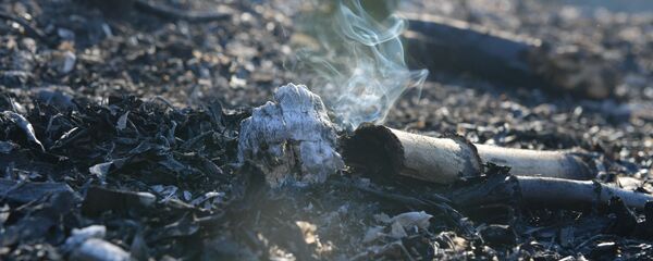 Пожар в лесу  - Sputnik Абхазия