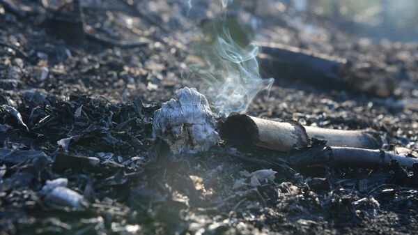 Пожар в лесу  - Sputnik Абхазия