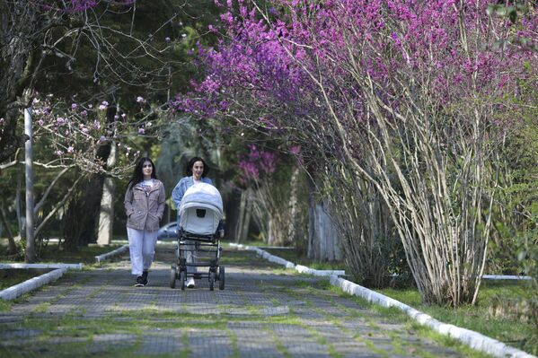 Излюбленное для гостей и жителей Сухума место прогулок – это городские парки и набережная. - Sputnik Абхазия