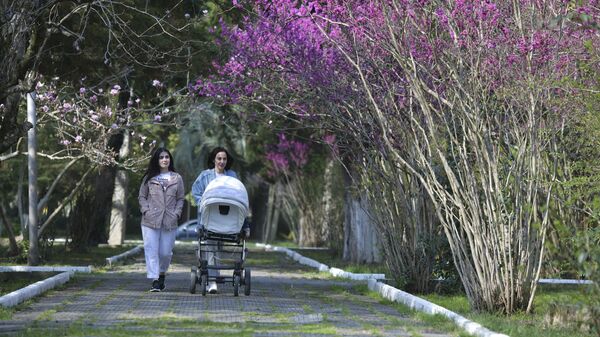 Цветущие деревья, весна на дворе - Sputnik Аҧсны