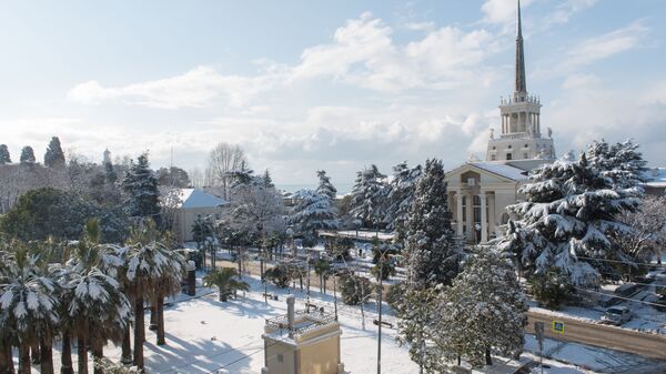 Зима в Сочи - Sputnik Абхазия