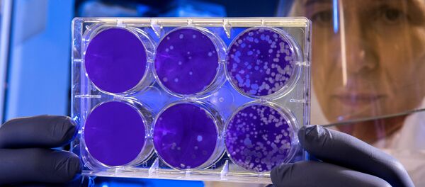 Лаборатория  - Sputnik Аҧсны