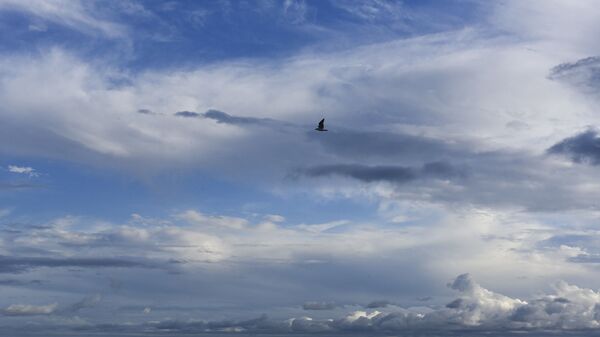 Погода  - Sputnik Абхазия